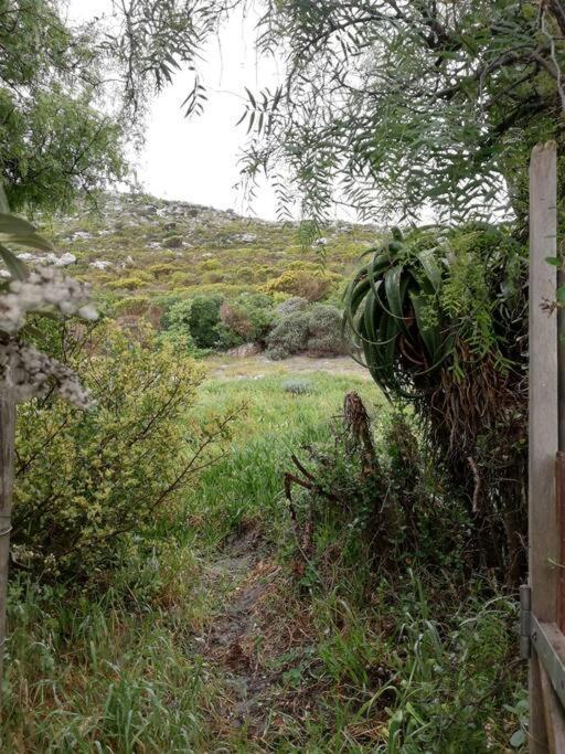 Serene Hide-Away With Ocean Views. Città del Capo Esterno foto